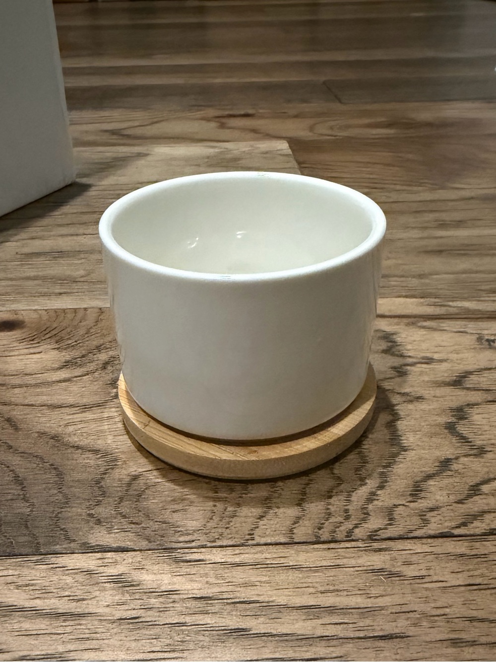 8 Ceramic Succulent Pots with Bamboo Coaster